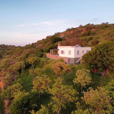 Cycladic Villa With Sea View! Ioulis Екстериор снимка